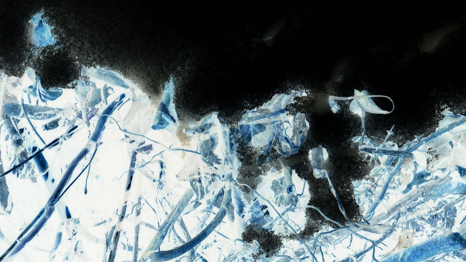 2021-01-30 Wasser in der Sple II, On-Off (Remix John Cage 'Sonatas & Interludes') (Komposition, Remix, Recording, Foto)